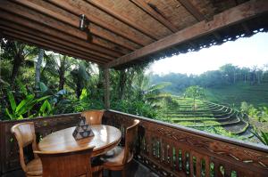 Zahrada ubytování Bali Lush