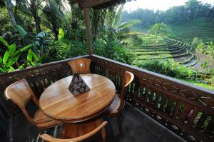 Zahrada ubytování Bali Lush