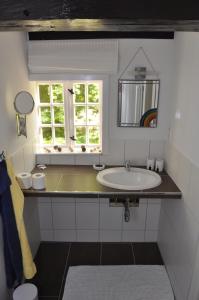 a bathroom with a sink and a mirror at Ferienhäuser Armsen in Kirchlinteln