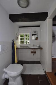 een badkamer met een wit toilet en een wastafel bij Ferienhäuser Armsen in Kirchlinteln