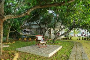 Orchid Lake View Homestay外面的花园