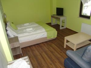 1 dormitorio con 1 cama, TV y sofá en Villa Eva en Panichishte