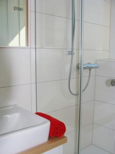 a white bathroom with a shower and a sink at Haus Meersburg Garten in Meersburg