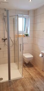 ein Bad mit einer Glasdusche und einem WC in der Unterkunft Apartments by Gasthof Bucksande in Apen