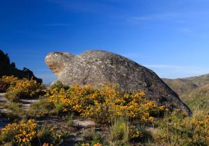 Φωτογραφία από το άλμπουμ του Hotel Miracastro σε Castro Laboreiro