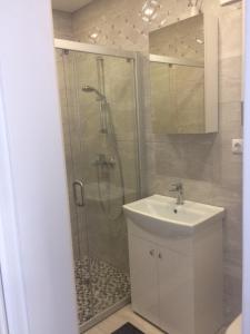 W łazience znajduje się prysznic i umywalka. w obiekcie Apartamentai Zarasai w mieście Jeziorosy