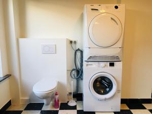 een wasmachine in een badkamer met een toilet bij 't Hoekske in Merkem