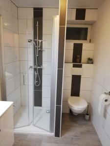 a bathroom with a shower and a toilet at Emmerich`s Ferienwohnung in Frebershausen