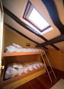 a bedroom with a loft bed with a skylight at Saioa`s red house in Lekeitio