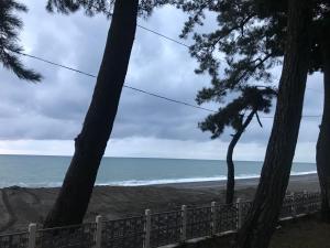 Paesaggio naturale nelle vicinanze dell'affittacamere