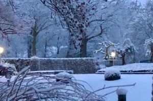 a garden covered in snow with trees and lights at Haras des Chartreux in Estaimbourg