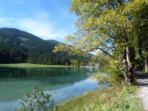 uitzicht op een meer met bergen op de achtergrond bij Appartement Schuller in Wagrain +19 foto's