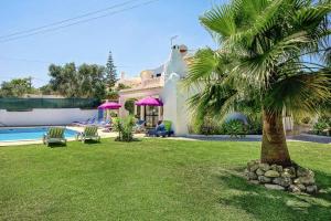 een huis met een palmboom naast een zwembad bij Villa Miramar in Albufeira
