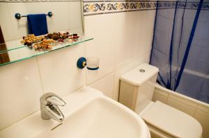 een badkamer met een wastafel, een toilet en een douche bij Apartamentos Dana Madrid in Madrid