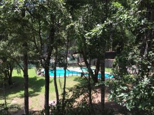 - une vue sur la piscine à travers les arbres dans l'établissement Departamento Parque Suizo Pucon, à Pucón