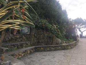 a stone wall with plants on the side of it at Casa D'amore in Riomaggiore