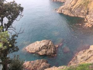 an aerial view of a body of water with rocks at Casa D'amore in Riomaggiore