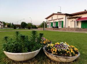 A garden outside Exclusive Villa