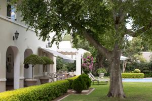 a white house with a tree and a yard at Summerwood Guest House in Stellenbosch