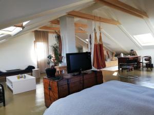 a living room with a bed and a tv on a table at Naiadi Loft Apartment in Nerezine