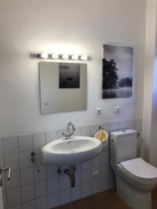 a bathroom with a sink and a toilet and a mirror at De Isenboner Wankendorf in Wankendorf