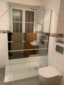 Kylpyhuone majoituspaikassa Appartement Wissembourg