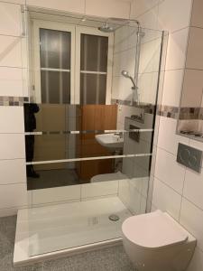 a bathroom with a toilet and a sink at Appartement Wissembourg in Wissembourg