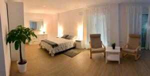 1 dormitorio con 1 cama, 2 sillas y una planta en Vivienda Avenida de la Manzanilla, en Sanlúcar de Barrameda