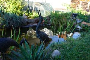 Bruchweiler-BärenbachFerienwohnung Jüngstbergblick的相册照片