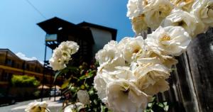 Gallery image of Hostel Sea Star in Vama Veche +13 photos