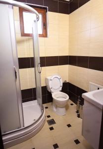 uma pequena casa de banho com WC e chuveiro em Villa 'Iva' em Mavrovo