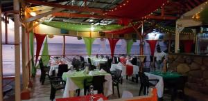 Gallery image of Cabañas y Restaurante Miss Elma in Providencia