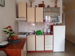 Kuchyň nebo kuchyňský kout v ubytování Apartments Davor