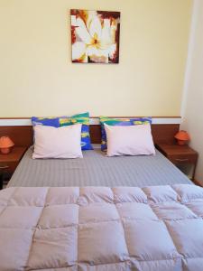 Postel nebo postele na pokoji v ubytování Apartments Davor