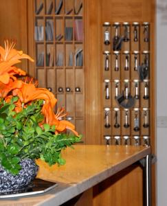 Foto sihtkohas Poschiavo asuva majutusasutuse Poschiavo Suisse Hotel & Traditional Fondue Stube galeriist