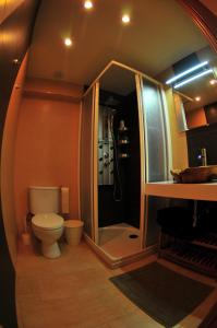 a bathroom with a shower and a toilet in it at APARTAMENTOs URDAIBAI 1 in Bermeo