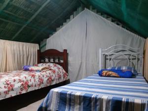 a bedroom with two beds in a tent at Refúgio Raiz Camping in Carolina