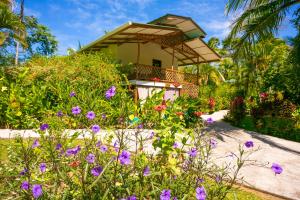 Gallery image of Passion Fruit Lodge in Cahuita