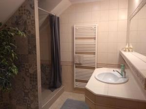 ヴェルカー・ロムニツァにあるVilla Mariaの洗面台とシャワー付きのバスルーム +68枚の写真