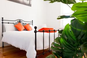a bedroom with a bed with orange pillows and a plant at Agnes Cottage Bed & Breakfast in Kingston South East