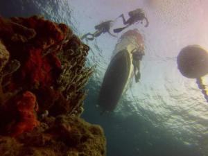 Foto dalla galleria di Ecohotel Arte y Aventura a Isla Grande