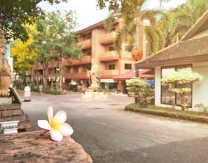 Photo de la galerie de l'établissement Nim Hotel, à Chiang Mai
