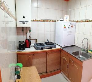 una pequeña cocina con fregadero y nevera. en Bosque Valdiviano Apartment, en Valdivia
