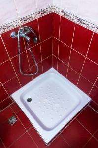 Hotel Orizont Suceava في سوسيفا: حمام ذو بلاط احمر مع حوض استحمام مع دش