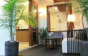 パンタイチェナンにあるSANDY GARDEN RESORT LANGKAWIの鉢植え2本と鏡付きの部屋