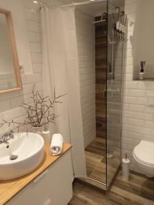 a bathroom with a sink and a shower at Apartment Strandkorb in Glücksburg
