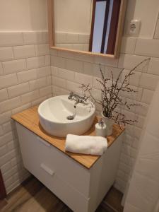 a bathroom with a sink and a mirror at Apartment Strandkorb in Glücksburg