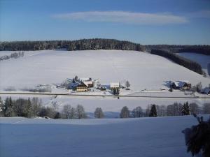 ein schneebedecktes Feld mit einem Haus auf einem Hügel in der Unterkunft Ferienwohnung Stefan Moosmann in Unterkirnach