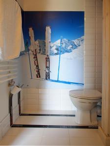 a bathroom with a toilet and skis on the wall at Świetnokrzyska Chata in Bodzentyn
