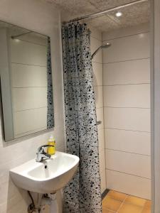 a bathroom with a sink and a shower at Annekset Skagen in Skagen